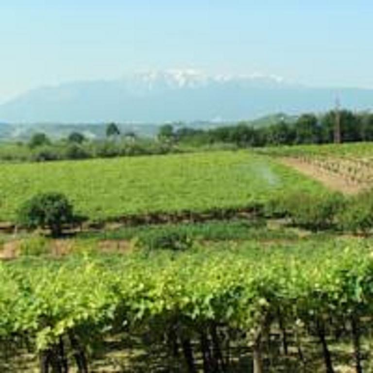 日帕特尼纳 Castello D'Abruzzo酒店 外观 照片